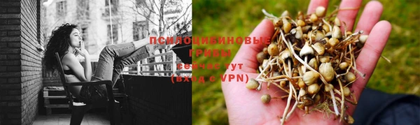 PSILOCYBIN Балабаново