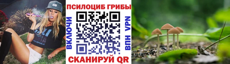 Псилоцибиновые грибы Magic Shrooms  Шали 
